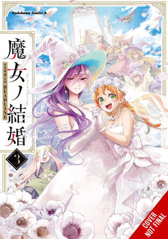 Witches Marriage Volume 3