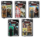 Star Wars Black E6 40th Ann 6in Action Figure Assortment 202302