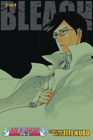 Bleach 3-in-1 Volume 24