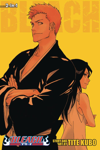 Bleach 3-in-1 Volume 25