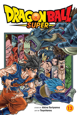 Dragonball Super Volume 13