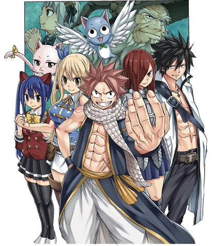 Fairy Tail: 100 Years Quest Volume 8